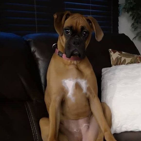 Meet your Posher, Jane - Picture 1 of 1